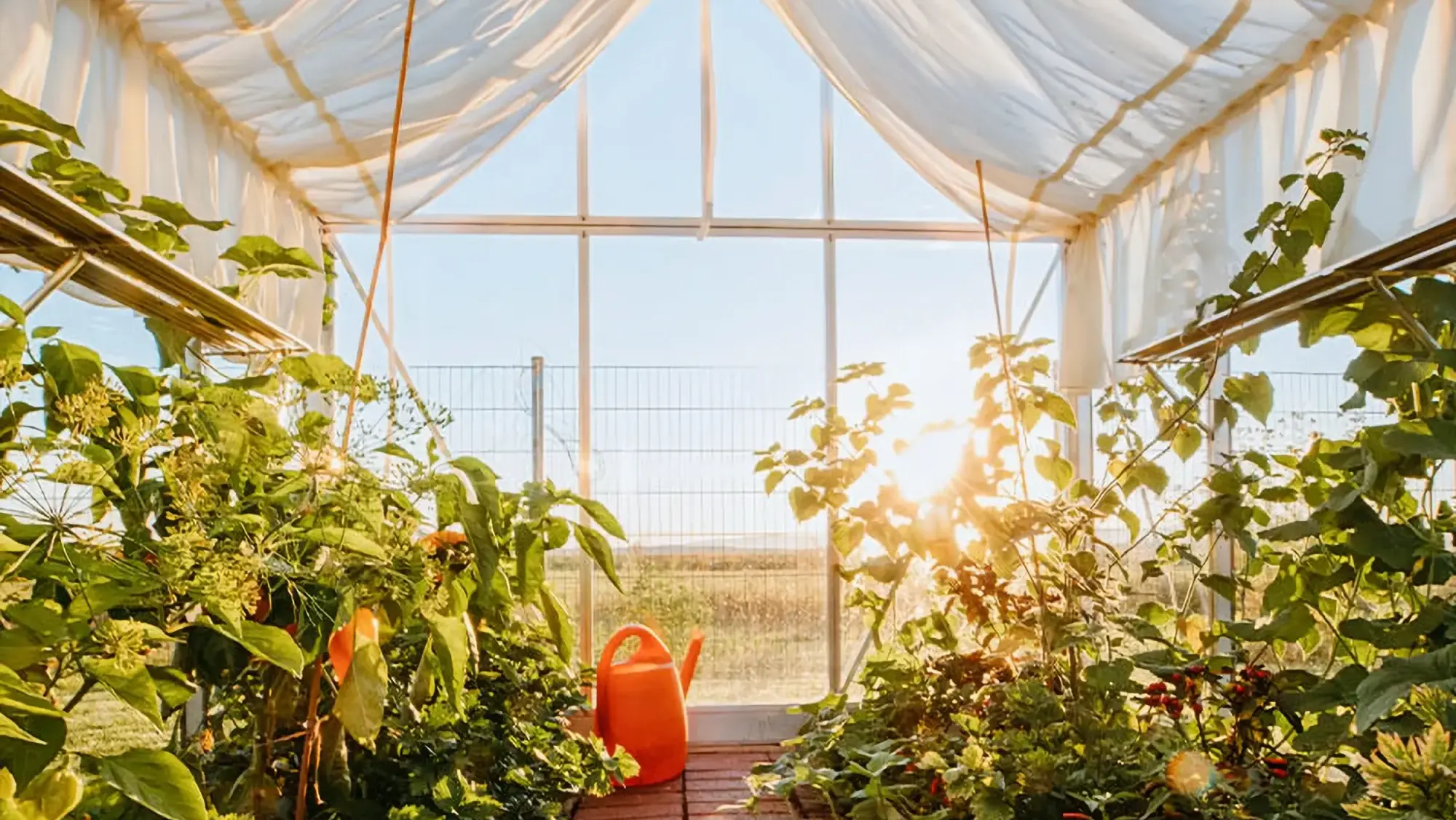 Gardening_Zubehör 5