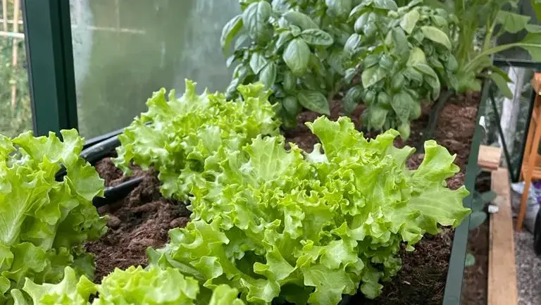 Gardening_Zubehör 9_2